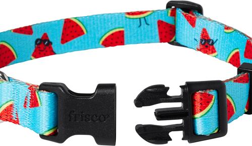 Show full view: Frisco Watermelon Print Summer Dog Collar, M: 14 to 20-in neck, 3/4-in wide slide 3 of 12
