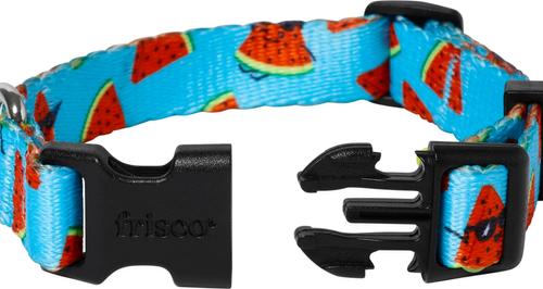 Show full view: Frisco Watermelon Print Summer Dog Collar, Watermelon, XS: 8 to 12-in neck, 5/8-in wide slide 2 of 10