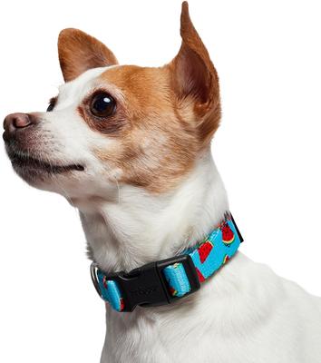 Show full view: Frisco Watermelon Print Summer Dog Collar, Watermelon, XS: 8 to 12-in neck, 5/8-in wide slide 3 of 10