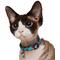 Show in main carousel: Frisco Summer Watermelon Print Breakaway Cat Collar, 8 to 12-in neck, 3/8-in wide slide 4 of 10