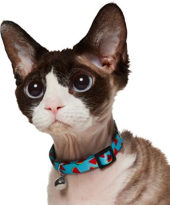 Show full view: Frisco Summer Watermelon Print Breakaway Cat Collar, 8 to 12-in neck, 3/8-in wide slide 4 of 10