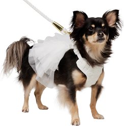 Frisco Wedding Rosette Removable Dress Skirt Dog Harness, S: 15 to 19-in chest