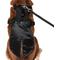 Show in main carousel: Frisco Wedding Removable Tuxedo Tail Dog Harness, L/XL: 23 to 32-in chest slide 2 of 11