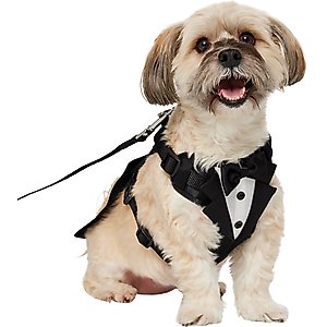 Frisco Wedding Removable Tuxedo Tail Dog Harness, M: 19 to 23-in chest