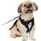 Show in main carousel: Frisco Wedding Removable Tuxedo Tail Dog Harness, M: 19 to 23-in chest slide 1 of 11