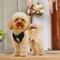 Show in main carousel: Frisco Wedding Removable Tuxedo Tail Dog Harness, S: 15 to 19-in chest slide 7 of 11