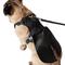Show in main carousel: Frisco Wedding Removable Tuxedo Tail Dog Harness, S: 15 to 19-in chest slide 2 of 11