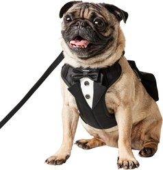 Frisco Wedding Removable Tuxedo Tail Dog Harness, S: 15 to 19-in chest
