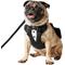 Show in main carousel: Frisco Wedding Removable Tuxedo Tail Dog Harness, S: 15 to 19-in chest slide 1 of 11