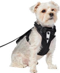 Frisco Wedding Removable Tuxedo Tail Dog Harness, XS: 11 to 15-in chest