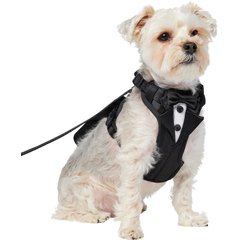 Frisco Wedding Removable Tuxedo Tail Dog Harness, XS: 11 to 15-in chest
