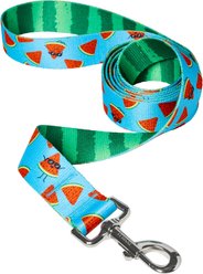 Frisco Reversible Summer Watermelon Print Dog Leash, XXL/XXXL: 6-ft long, 1 1/4-in wide slide 1 of 9