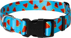 Frisco Watermelon Print Summer Dog Collar, XXL/XXXL: 21 to 32-in neck, 1 1/4-in wide