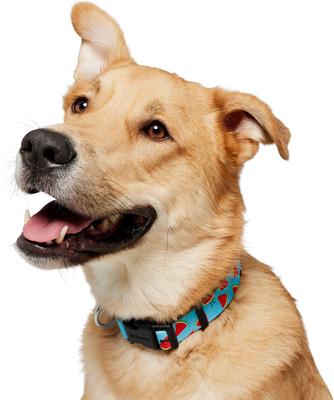 Show full view: Frisco Watermelon Print Summer Dog Collar, Watermelon, L/XL: 18 to 26-in neck, 1-in wide slide 4 of 12