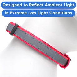 Pawtitas Personalized Reflective Dog Collar, Pink, Large: 15 to 25-in neck, 1-in wide slide 2 of 9