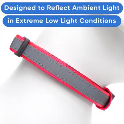 Show full view: Pawtitas Personalized Reflective Dog Collar, Pink, Large: 15 to 25-in neck, 1-in wide slide 6 of 11