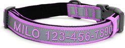 Pawtitas Personalized Reflective Dog Collar, Orchid, Small: 11 to 16-in neck, 5/8-in wide