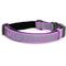 Show in main carousel: Pawtitas Personalized Reflective Dog Collar, Orchid, Small: 11 to 16-in neck, 5/8-in wide slide 1 of 10