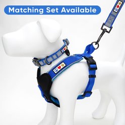 Pawtitas Personalized Reflective Dog Collar, Blue, Medium: 13 to 22-in neck, 3/4-in wide slide 2 of 9