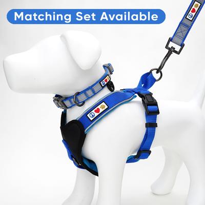 Show full view: Pawtitas Personalized Reflective Dog Collar, Blue, Large: 15 to 25-in neck, 1-in wide slide 8 of 10