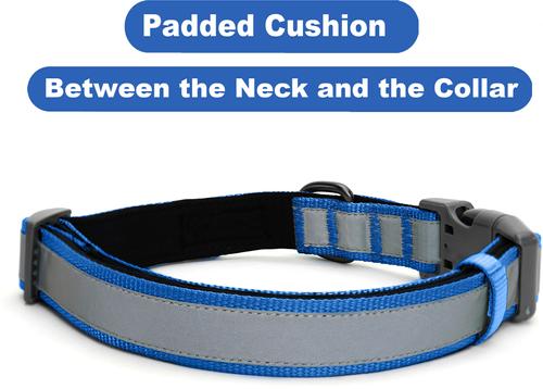 Show full view: Pawtitas Personalized Reflective Dog Collar, Blue, Large: 15 to 25-in neck, 1-in wide slide 7 of 10