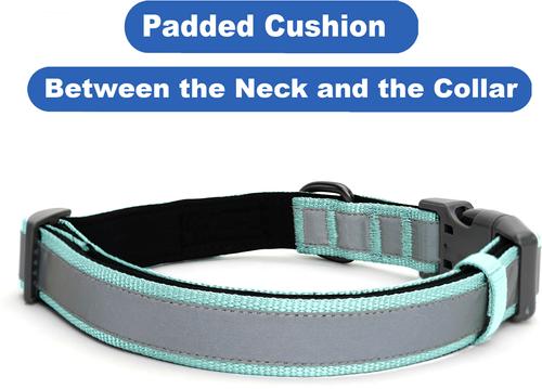 Show full view: Pawtitas Personalized Reflective Dog Collar, Teal, Medium: 13 to 22-in neck, 3/4-in wide slide 7 of 10
