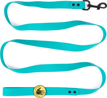 Show full view: Body Glove Biothane Dog Leash, Teal, 6-ft long, 1-in wide slide 4 of 8