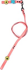 Body Glove Biothane Dog Leash, Sunset, 6-ft long, 3/4-in wide slide 2 of 7