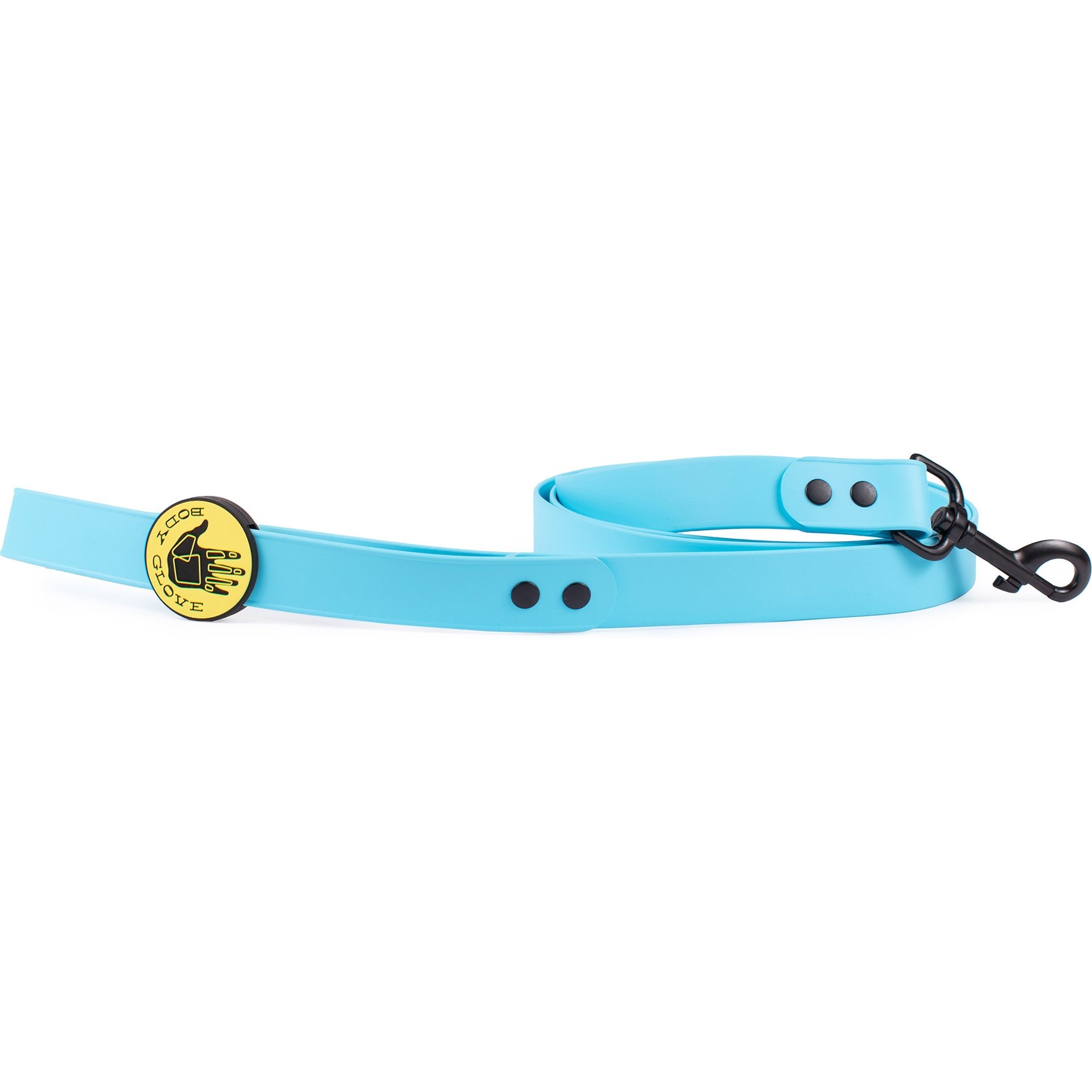 Body Glove Biothane Dog Leash, Sea Mist, 6-ft long, 1-in wide
