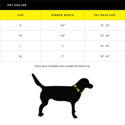 Body Glove Biothane Dog Collar, Sea Mist, Large: 16 to 22-in neck, 1-in wide slide 2 of 9