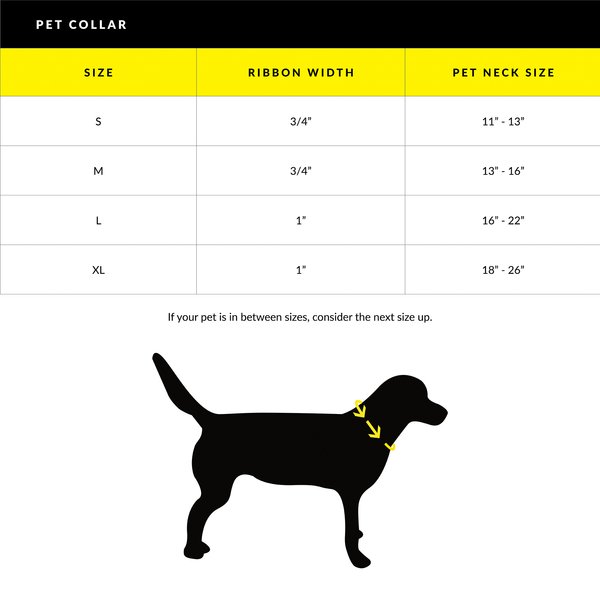 Body Glove Biothane Dog Collar
