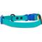 Show in main carousel: Body Glove Biothane Dog Collar, Teal, Medium: 13 to 16-in neck, 3/4-in wide slide 2 of 8