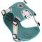 Show in main carousel: Body Glove Cooling Dog Harness, Green, Small: 19 to 24-in chest slide 4 of 9
