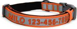 Pawtitas Personalized Reflective Dog Collar, Orange, Large: 15 to 25-in neck, 1-in wide