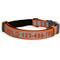 Show in main carousel: Pawtitas Personalized Reflective Dog Collar, Orange, Large: 15 to 25-in neck, 1-in wide slide 1 of 11