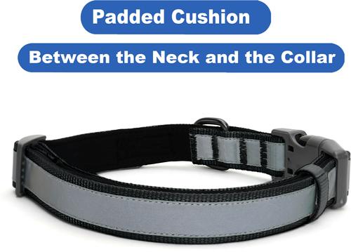 Show full view: Pawtitas Personalized Reflective Dog Collar, Black, Medium: 13 to 22-in neck, 3/4-in wide slide 7 of 10