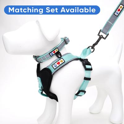 Show full view: Pawtitas Personalized Reflective Dog Collar, Teal, Medium: 13 to 22-in neck, 3/4-in wide slide 8 of 10