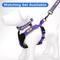 Show in main carousel: Pawtitas Personalized Reflective Dog Collar, Purple, Medium: 13 to 22-in neck, 3/4-in wide slide 8 of 10