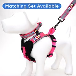 Pawtitas Personalized Reflective Dog Collar, Pink, Small: 11 to 16-in neck, 5/8-in wide slide 2 of 9