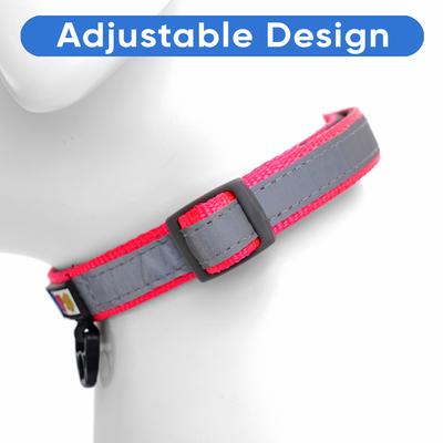 Show full view: Pawtitas Personalized Reflective Dog Collar, Pink, Large: 15 to 25-in neck, 1-in wide slide 7 of 11