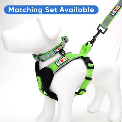 Show full view: Pawtitas Personalized Reflective Dog Collar, Green, Large: 15 to 25-in neck, 1-in wide slide 8 of 10