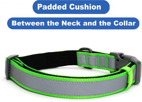 Show full view: Pawtitas Personalized Reflective Dog Collar, Green, Large: 15 to 25-in neck, 1-in wide slide 7 of 10