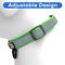 Show in main carousel: Pawtitas Personalized Reflective Dog Collar, Green, Large: 15 to 25-in neck, 1-in wide slide 6 of 10