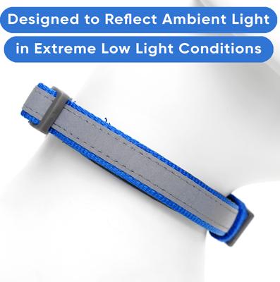 Show full view: Pawtitas Personalized Reflective Dog Collar, Blue, Large: 15 to 25-in neck, 1-in wide slide 5 of 10