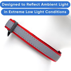 Pawtitas Personalized Reflective Dog Collar, Red, Large: 15 to 25-in neck, 1-in wide slide 2 of 9