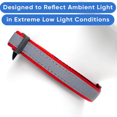 Show full view: Pawtitas Personalized Reflective Dog Collar, Red, Large: 15 to 25-in neck, 1-in wide slide 5 of 10
