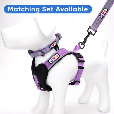 Show full view: Pawtitas Personalized Reflective Dog Collar, Orchid, Small: 11 to 16-in neck, 5/8-in wide slide 8 of 10