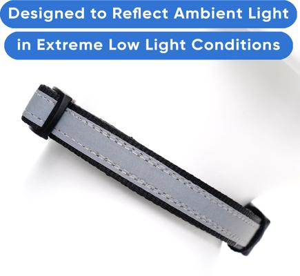 Show full view: Pawtitas Personalized Reflective Dog Collar, Black, Medium: 13 to 22-in neck, 3/4-in wide slide 5 of 10