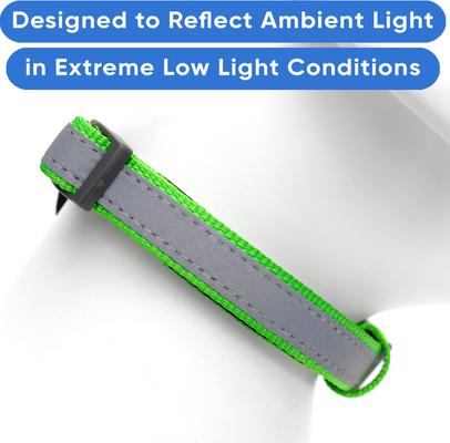 Show full view: Pawtitas Personalized Reflective Dog Collar, Green, Large: 15 to 25-in neck, 1-in wide slide 5 of 10