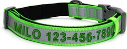 Pawtitas Personalized Reflective Dog Collar, Green, Large: 15 to 25-in neck, 1-in wide